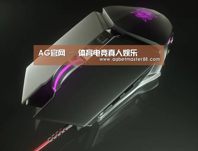 鼠标封面设计